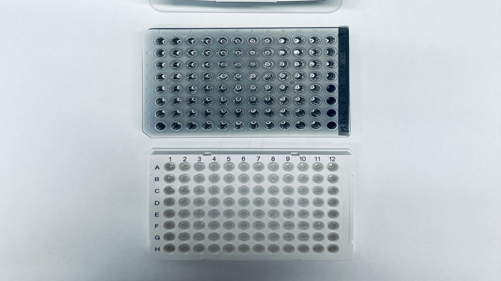 Pipetter