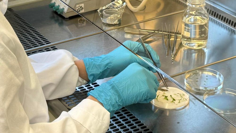 Laboratorium