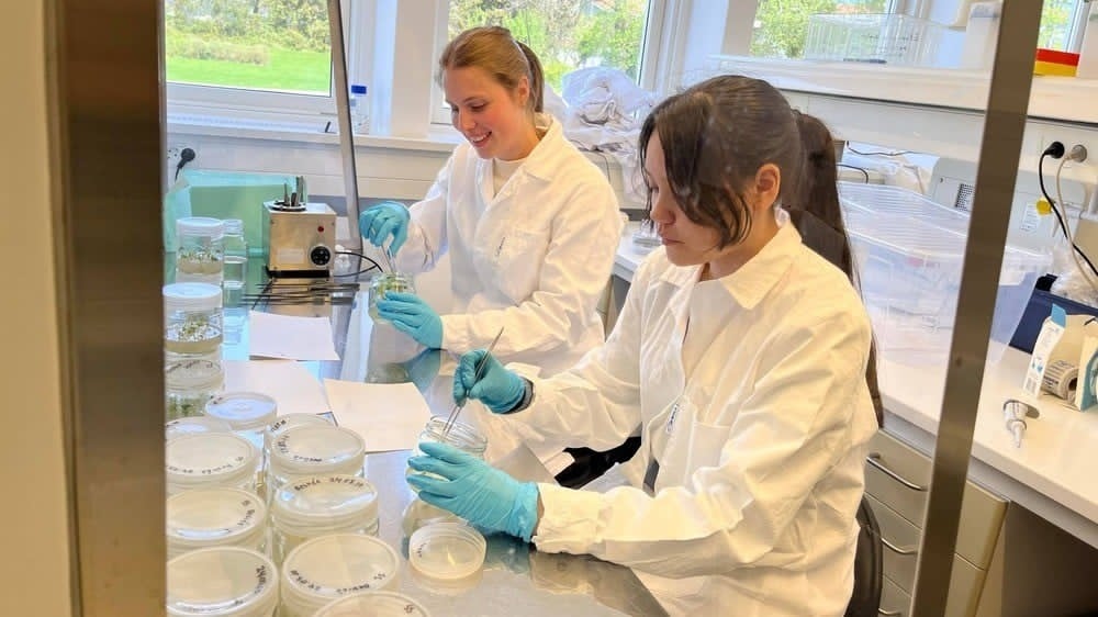 2 jenter på lab