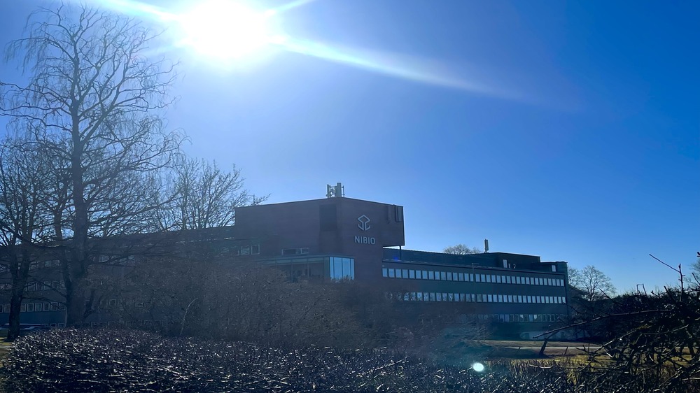 Bildet kan inneholde: hovedkvarter, kveld.