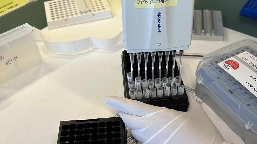 Bilde av multikanal pipettering.