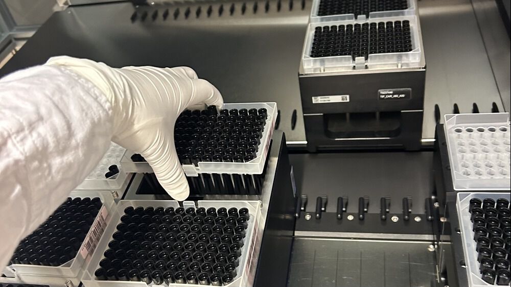 Brett med svarte pipettespisser flyttes over i pipetteringsrobot av en hånd i hanske.