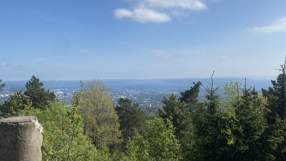 Bilde av utsikt over Oslo.