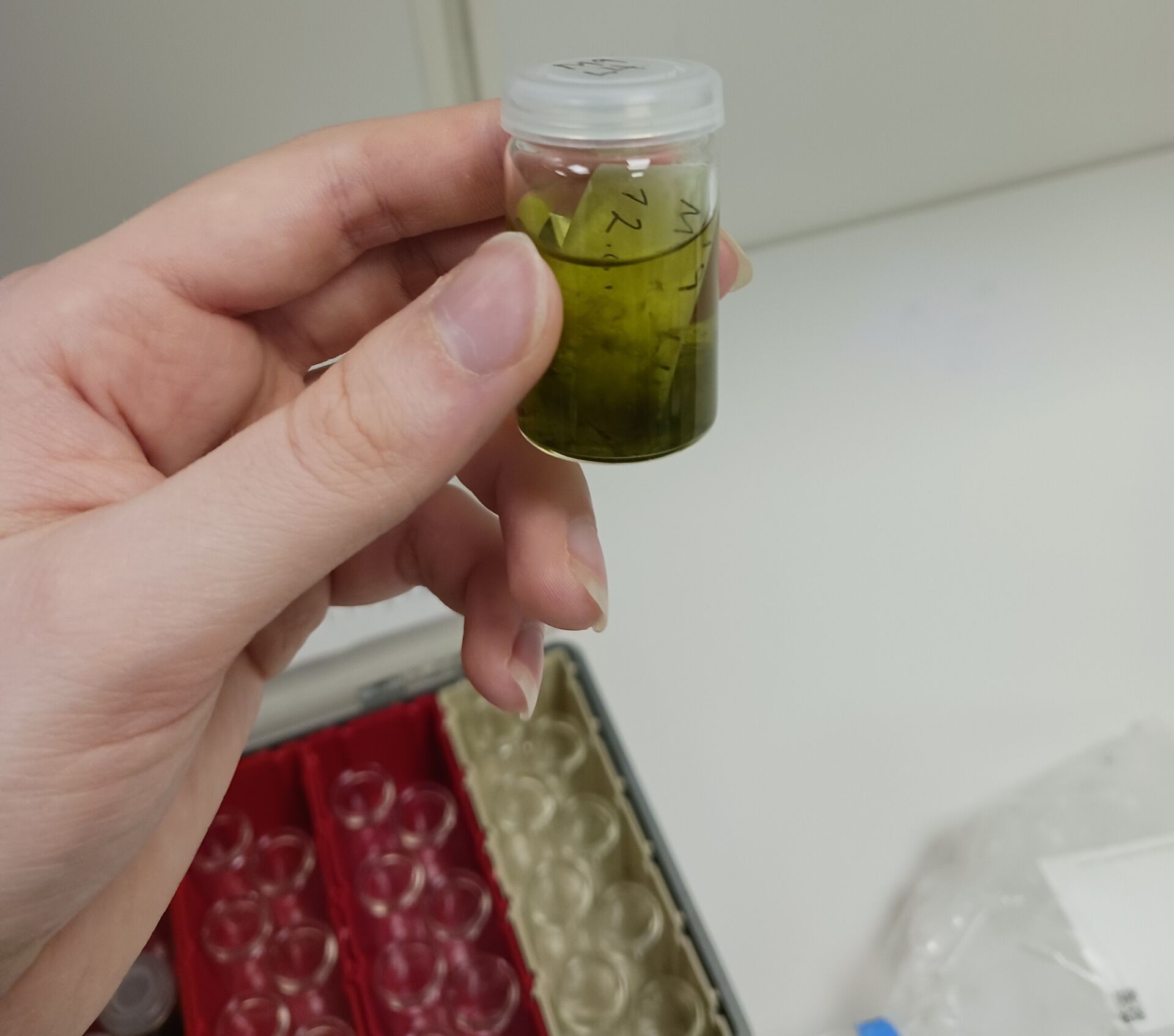 Hånd som holder prøveglass med innhold.
