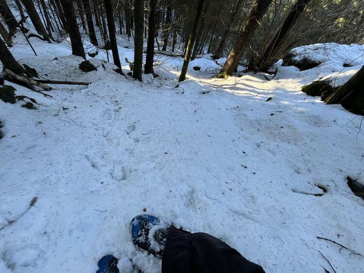 Bakke i skogen dekket av snø.