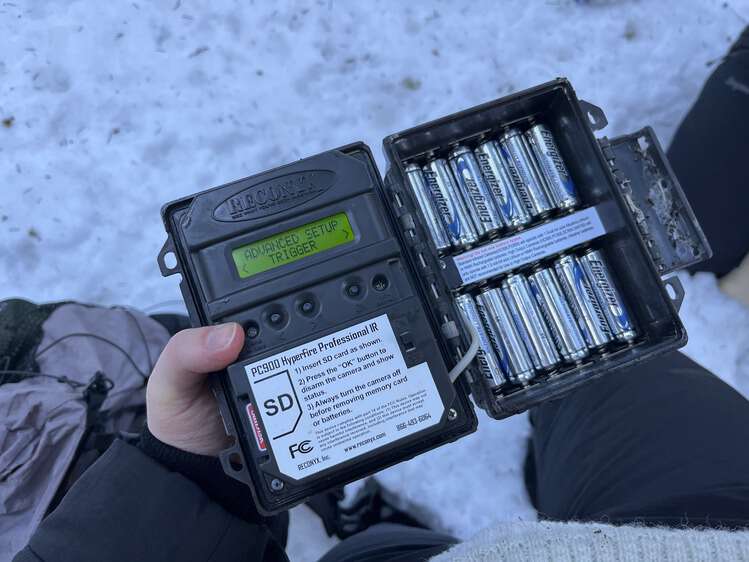 Bide av viltkamera. Det er åpent og viser skjerm og batterier.
