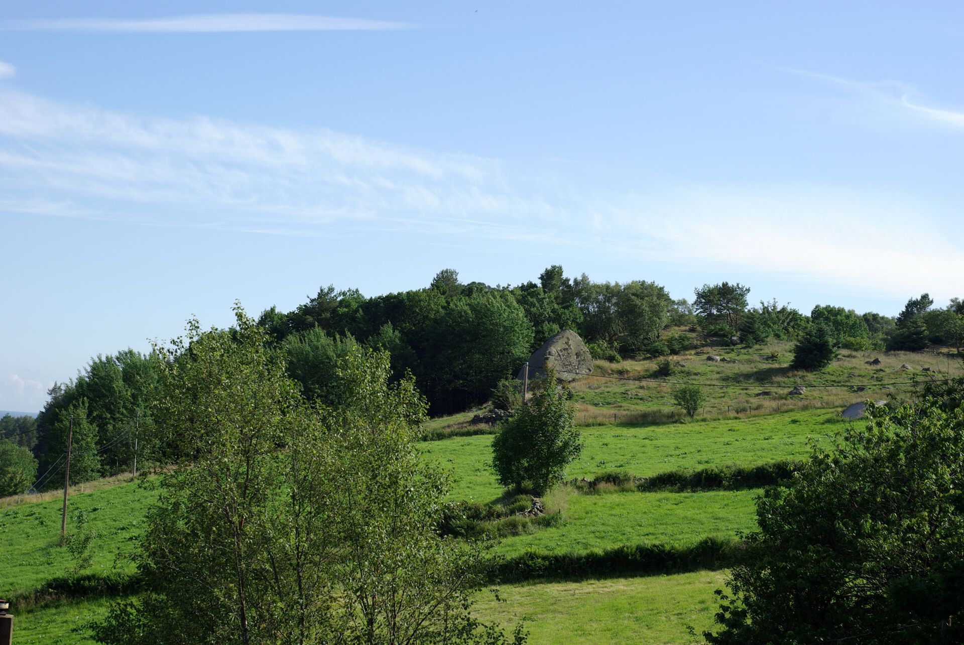 Vanlig lys