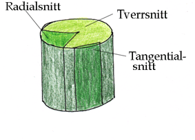 Snitt