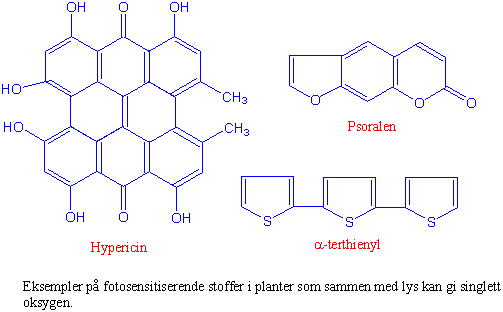Hypericin