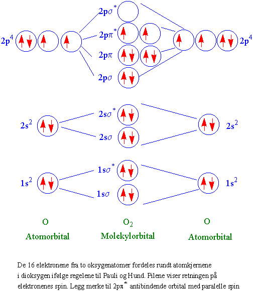 Oksygenorbitaler