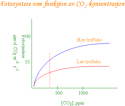 Fotosyntese versus karbondioksid