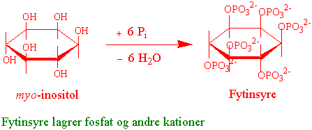 Fytinsyre