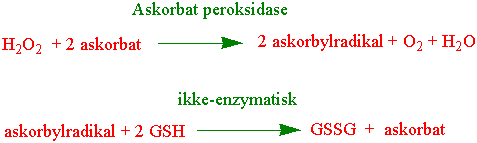 Askorbat peroksidase