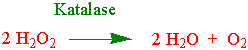 katalase