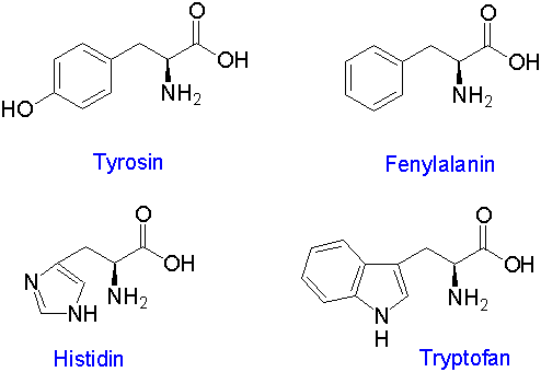 Aromatiske aminosyrer