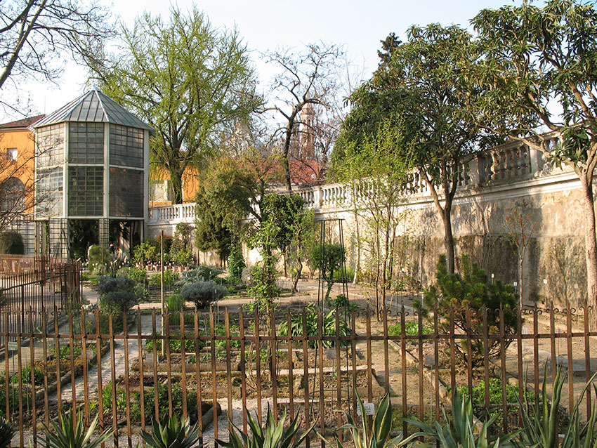 Botanisk hage Padova