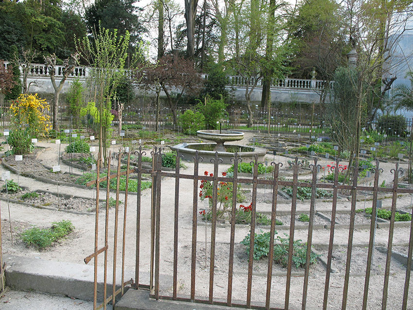 Botanisk hage Padova