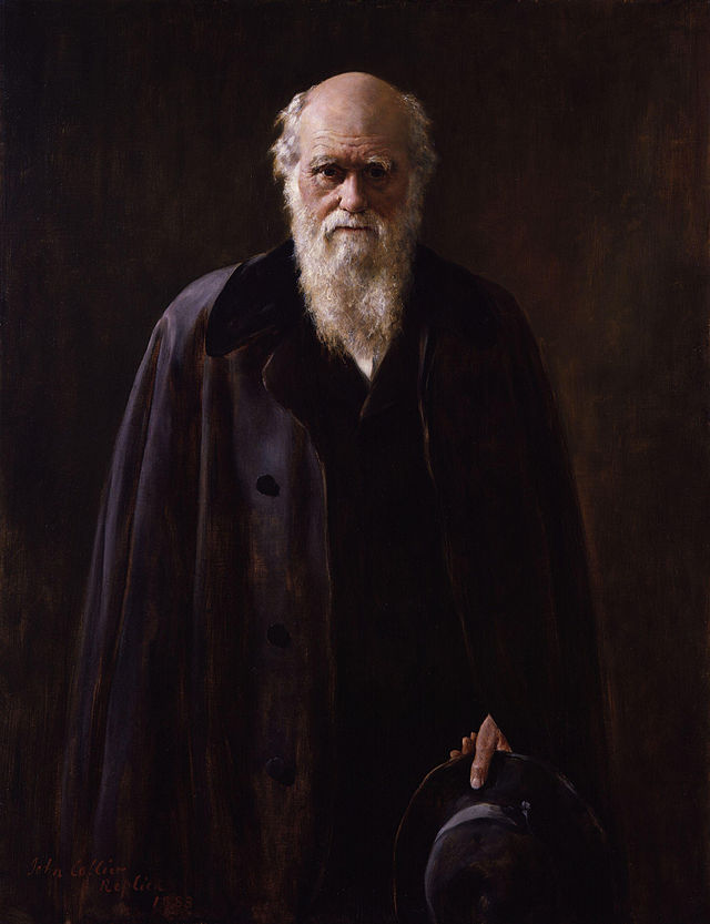 Charles Robert Darwin, kopi malt av John Collier. Engelske John Collier (1850–1934). Fra Wikimedia Commens.