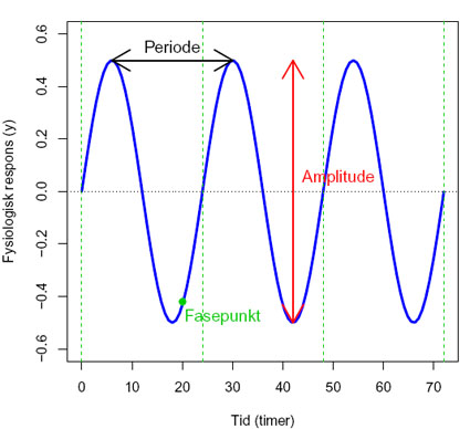 Oscillasjon og sinuskurve