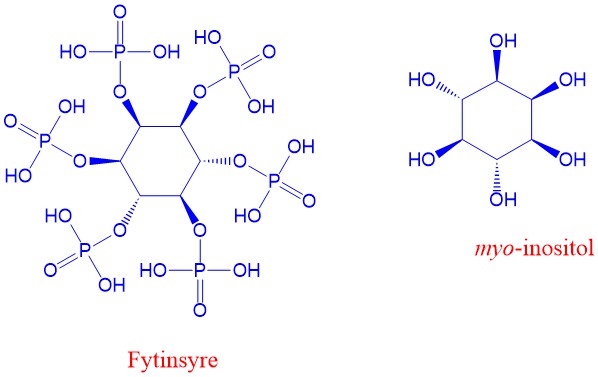 Fytinsyre