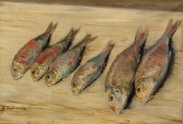 Rødmulle malt av av den franske maleren Gustave Caillebotte (1848-1894). Wikimedia Commons