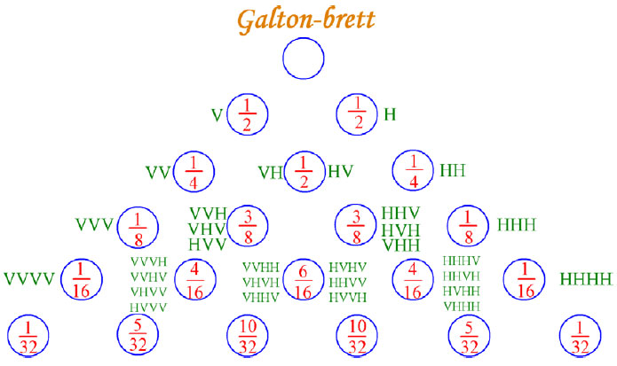 Galtonbrett