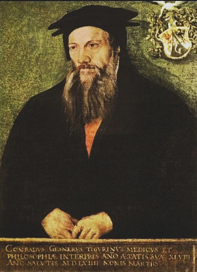 Conrad Gesner malt av den sveitsiske maleren Tobias Stimmer (1539-1584). Wikimedia Commons