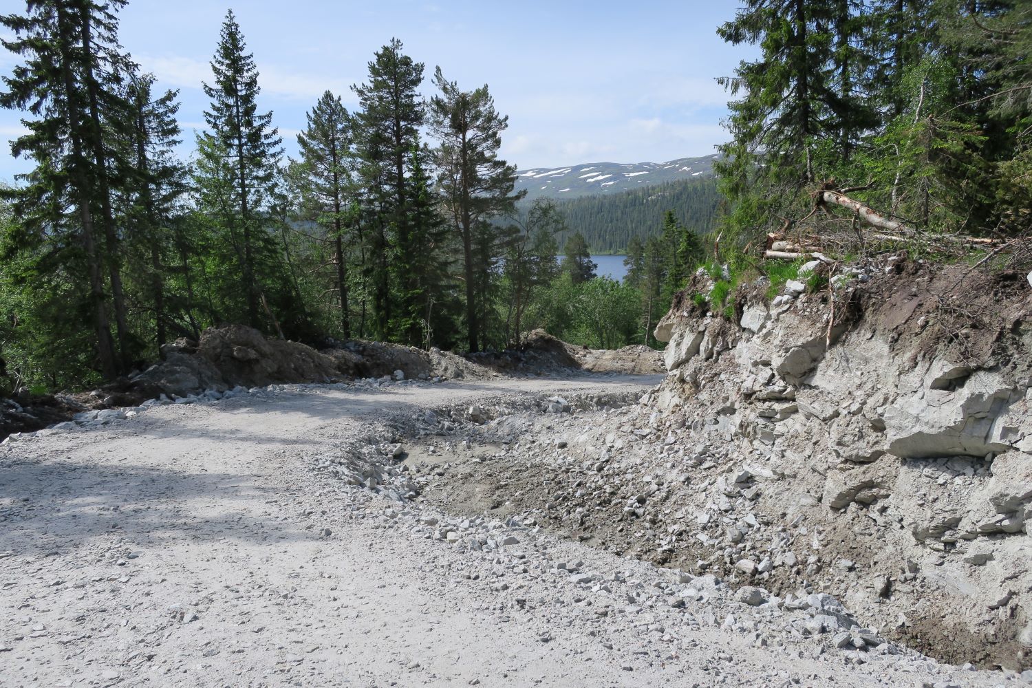 Vei habitatfragmentering