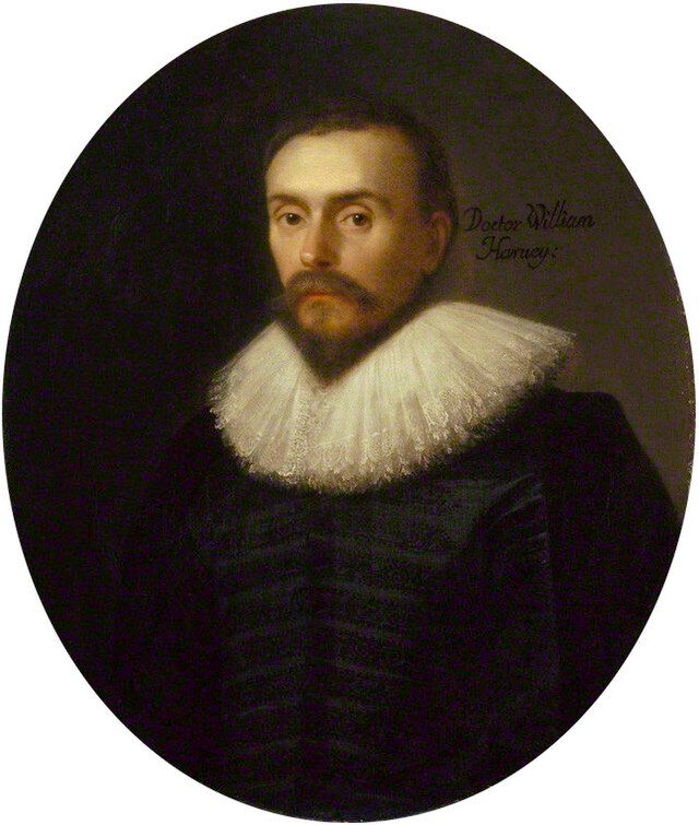 William Harvey malt av den nederlandske maleren After Daniël Mijtens (ca.1590 – 748). Wikimedia Commons