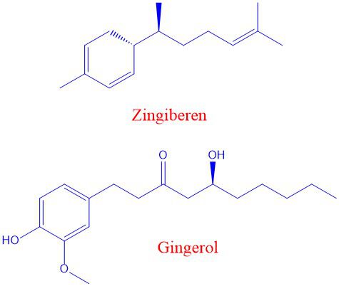 Zingiberen