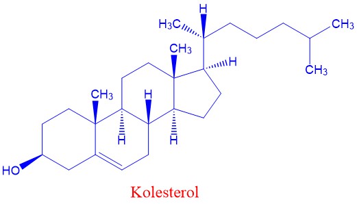Kolesterol