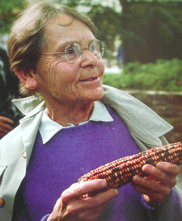 Barbara McClintock (1902-1992). Wikimedia Commons.