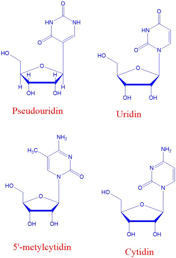 Pseudouridin