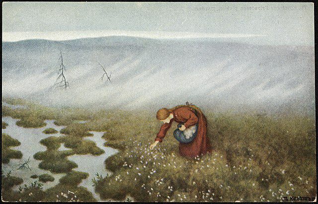 Prinsessen plukker myrdun malt av Theodor Kittelsen (1857-1914). Wikimedia Commons.
