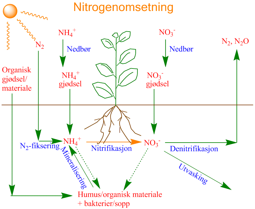 Nitrogenomsetning
