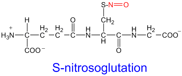 Nitrosoglutathion