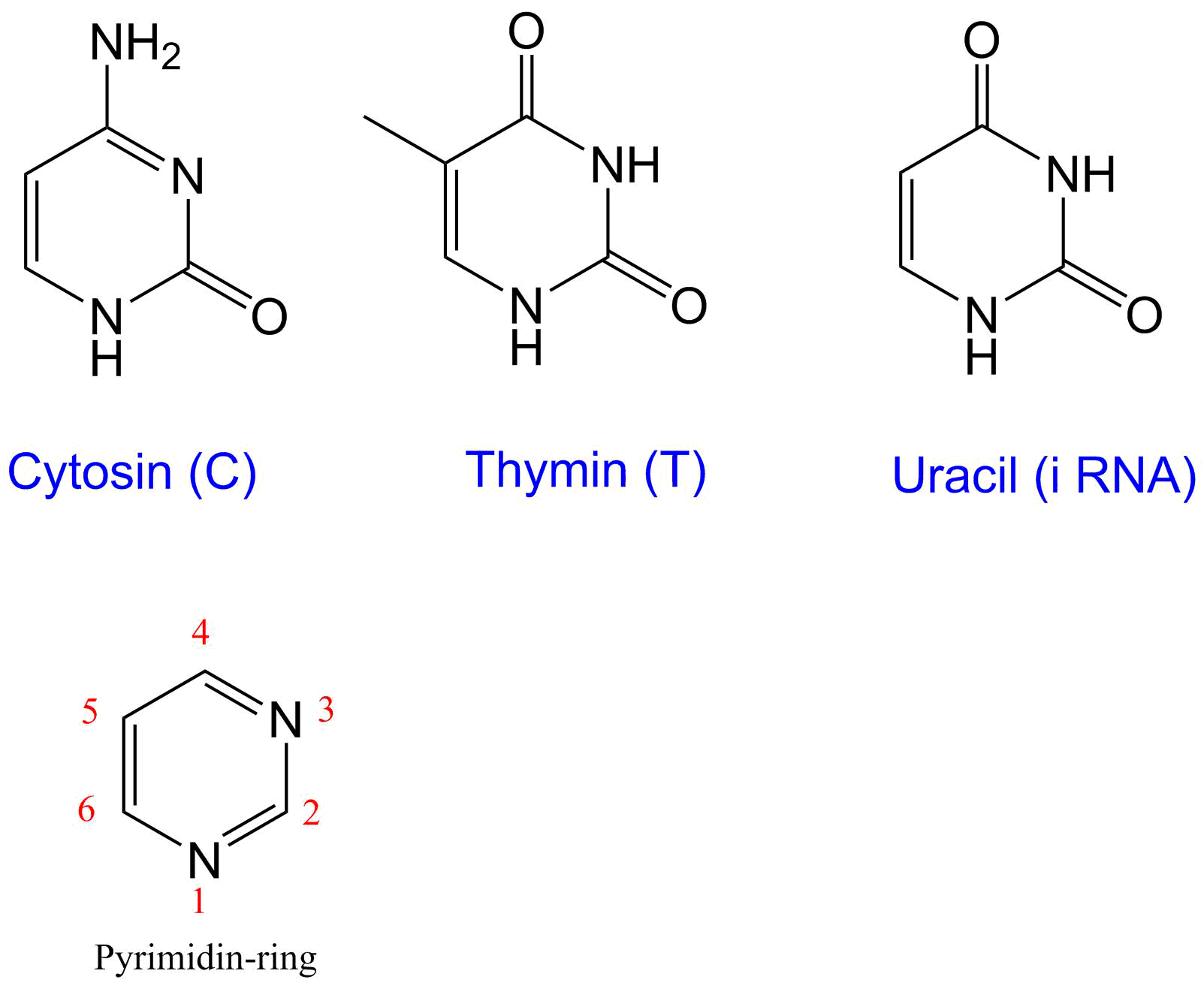 Pyrimidin