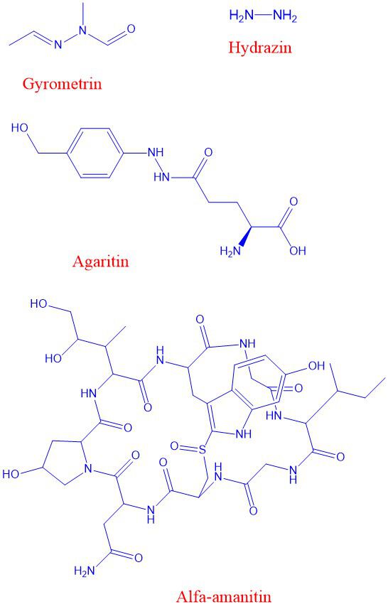 Gyrometrin