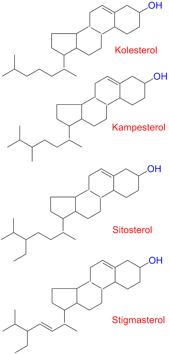 Steroler