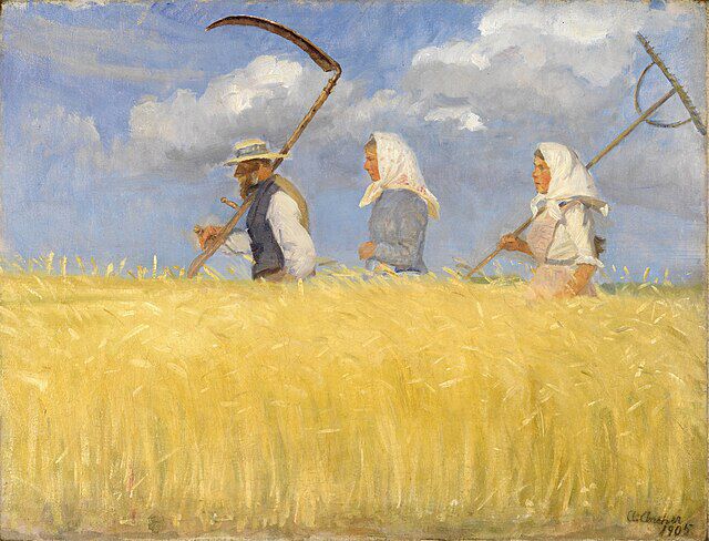 Innhøstere malt i 1905 av den danske Skagenmaleren Anna Ancher (1859 -935). Wikimedia Commons