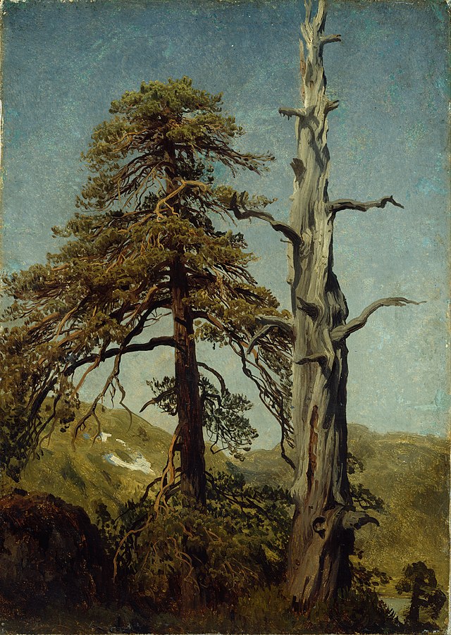 Studiet av trær malt av August Cappelen (1827-1852). Study of Trees - Google Art Fra Wikimedia Commens