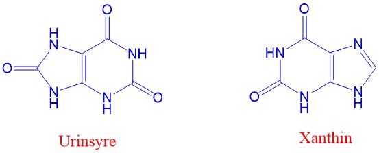 Urinsyre og xanthin