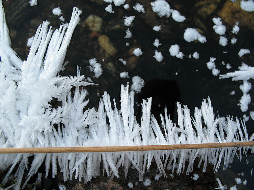 Iskrystaller på et grasstrå