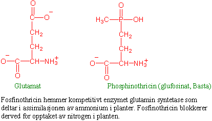 Phosphinothtricin