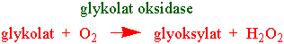 Glykolat oksidase