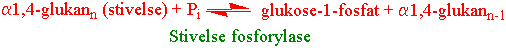 Stivelse fosforylase