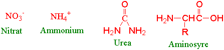 Formler nitrat og ammonium