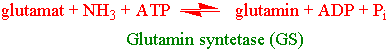 GS