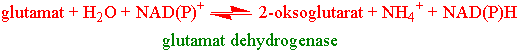 Glutamat dehydrogenase