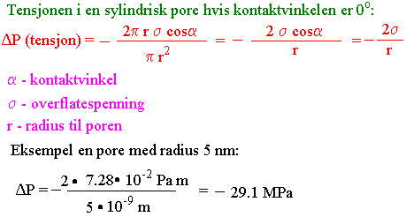 Tensjon i pore